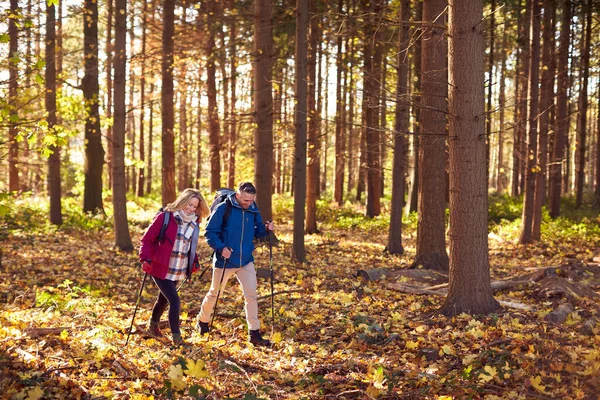 Vue Côté Couple Retraité Mature Marchant Travers Campagne Automne Hiver — Photo