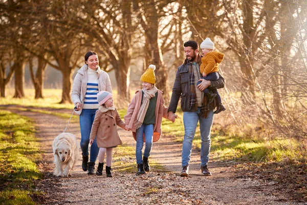 Família Com Síndrome Filha Andando Com Cão Estimação Outono Inverno — Fotografia de Stock