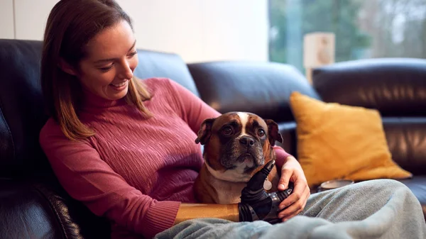 Woman Prosthetic Arm Hand Home Pet Dog — Stock Photo, Image