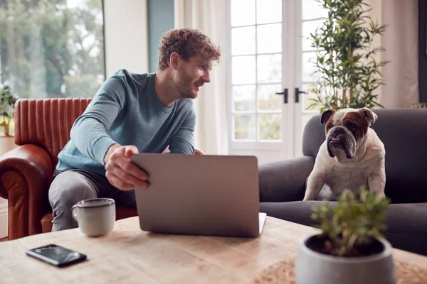 Man Working Home Laptop Sitting Pet Bulldog Armchair — Foto de Stock