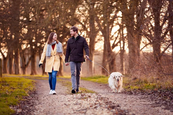Couple Woman Prosthetic Hand Walking Pet Dog Winter Autumn Countryside — Photo