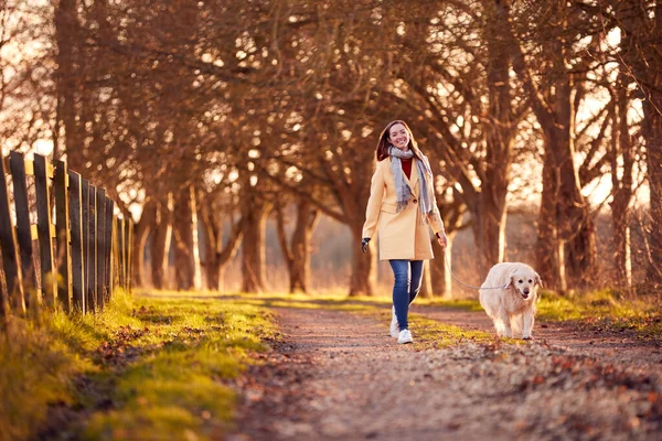 Женщина Протезной Рукой Выгуливает Домашнюю Собаку Зимой Осенью — стоковое фото