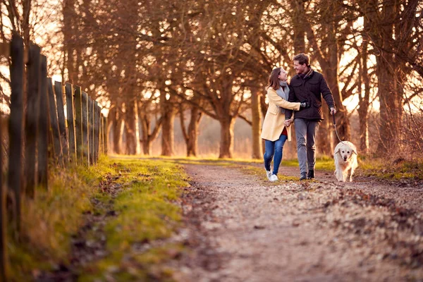 Couple Woman Prosthetic Hand Walking Pet Dog Winter Autumn Countryside — ストック写真