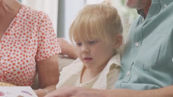 Close Granddaughter Sitting Sofa Grandparents Reading Story Book Together Shot — Stockvideo