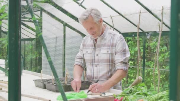 Ανώτερος Άνθρωπος Γράφει Ετικέτες Για Φυτά Και Βάζοντας Τους Δίσκους — Αρχείο Βίντεο