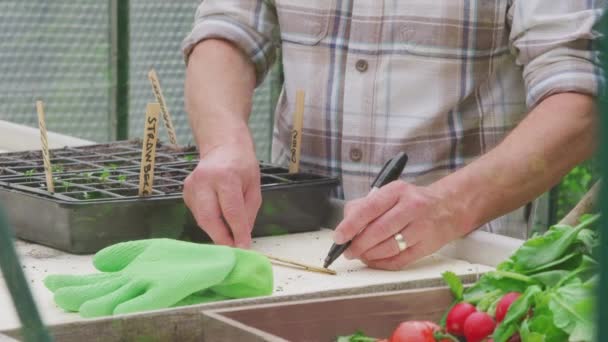 Close Senior Man Writing Labels Plants Putting Them Seed Trays — Stock Video