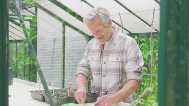 Senior Man Writing Labels Plants Putting Them Seed Trays Greenhouse — Wideo stockowe