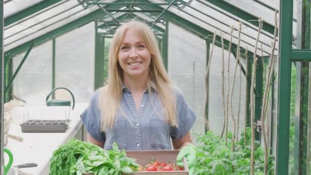 Portrait Smiling Proud Woman Holding Box Home Grown Vegetables Standing — Vídeo de stock