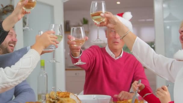 Adults Making Toast Wine Multi Generation Family Santa Hats Enjoy — Αρχείο Βίντεο