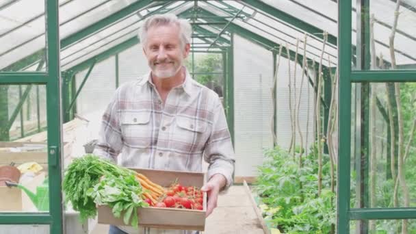 Portrait Senior Man Holding Box Home Grown Vegetables Standing Doorway — Wideo stockowe