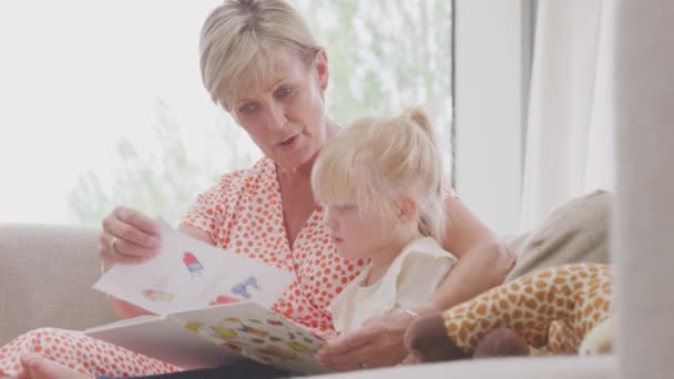 Granddaughter Toy Giraffe Sitting Sofa Grandmother Reading Story Book Together — Vídeos de Stock