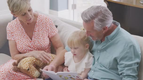 Granddaughter Toy Giraffe Sitting Sofa Grandparents Reading Story Book Together — Vídeos de Stock