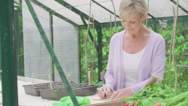 Ανώτερη Γυναίκα Γράφει Ετικέτες Για Φυτά Και Την Τοποθέτηση Τους — Αρχείο Βίντεο