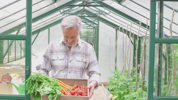 Portrét Staršího Muže Držícího Krabici Doma Pěstované Zeleniny Stojící Dveřích — Stock video