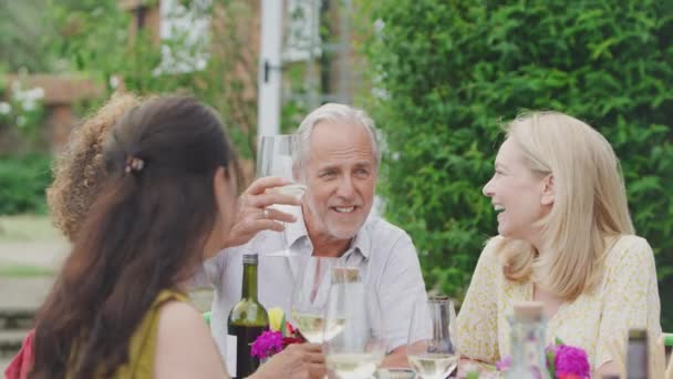 Group Mature Friends Talking Making Toast Wine Summer Drinks Party — Stock video