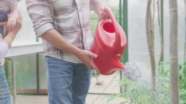 Grandparents Baby Grandson Watering Plants Greenhouse Together Shot Slow Motion — 图库视频影像