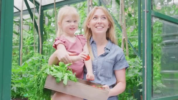 Mother Daughter Holding Box Home Grown Vegetables Greenhouse Home Girl — Stock video