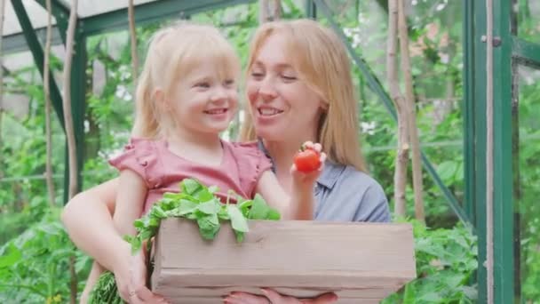 Mother Daughter Holding Box Home Grown Vegetables Greenhouse Home Girl — Stock video