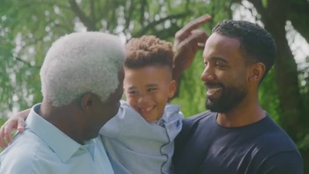 Liefdevolle Grootvader Met Volwassen Zoon Kleinzoon Knuffelen Praten Tuin Samen — Stockvideo