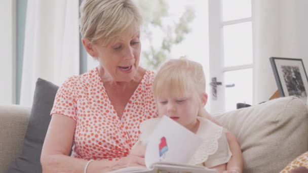 Granddaughter Sitting Sofa Grandmother Reading Story Book Together Shot Slow — kuvapankkivideo