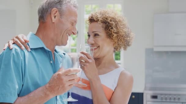 Loving Senior Couple Summer Vacation Drinking Wine Making Toast Together — Video Stock