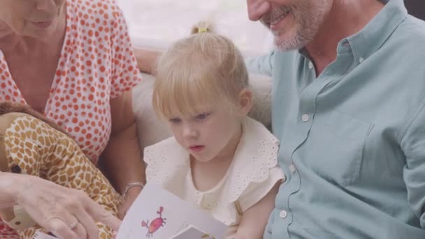 Close Granddaughter Toy Animal Sitting Sofa Grandparents Reading Story Book — 图库视频影像