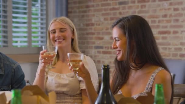 Multi Cultural Group Friends Enjoying Beer Takeaway Food Home Together — Vídeo de Stock