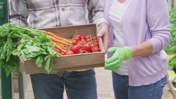 Portrait Smiling Proud Senior Couple Holding Box Home Grown Vegetables — Vídeos de Stock