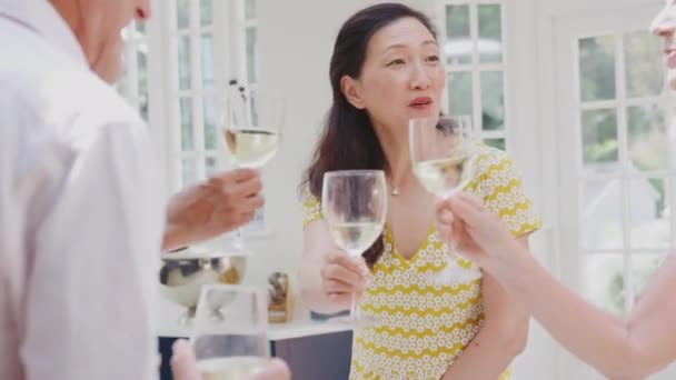 Gruppe Multikultureller Senioren Trifft Sich Sommerurlaub Einem Drink Der Ferienwohnung — Stockvideo