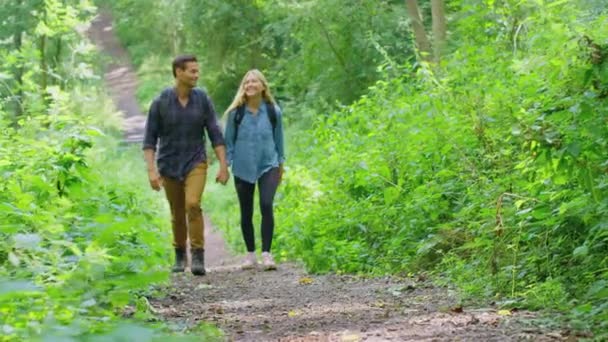 Loving Couple Walking Path Trees Holding Hands Hike Shot Slow — Stok video
