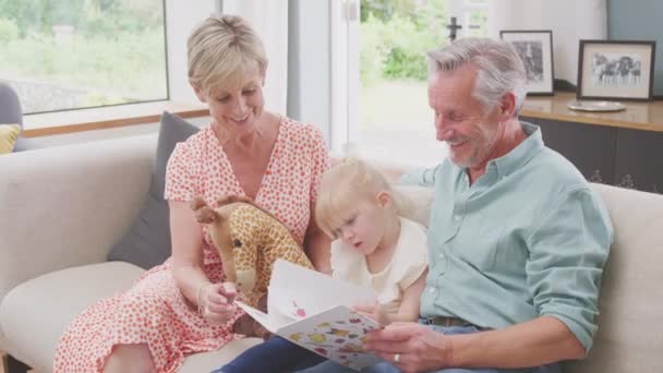 Kleindochter Met Speelgoed Giraffe Zitten Bank Met Grootouders Lezen Verhaal — Stockvideo