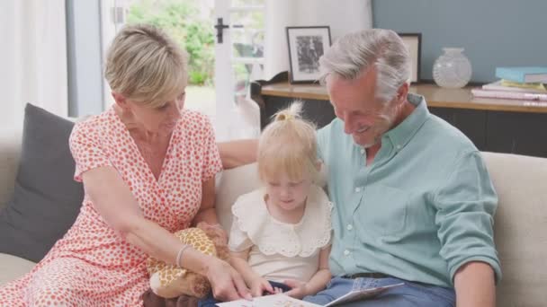 Granddaughter Toy Giraffe Sitting Sofa Grandparents Reading Story Book Together — Vídeos de Stock