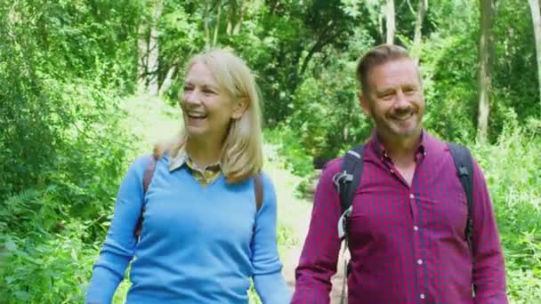 Loving Mature Couple Walking Path Trees Hike Holding Hands Shot — Video Stock