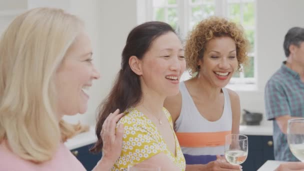 Group Multi Cultural Senior Female Friends Summer Vacation Meeting Drinks — Stockvideo