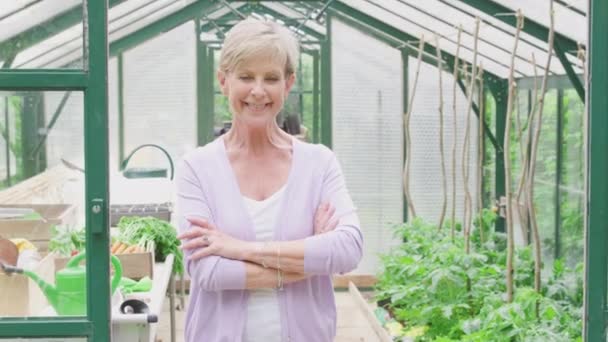 Portrait Senior Woman Growing Vegetables Standing Doorway Greenhouse Folding Arms — Wideo stockowe