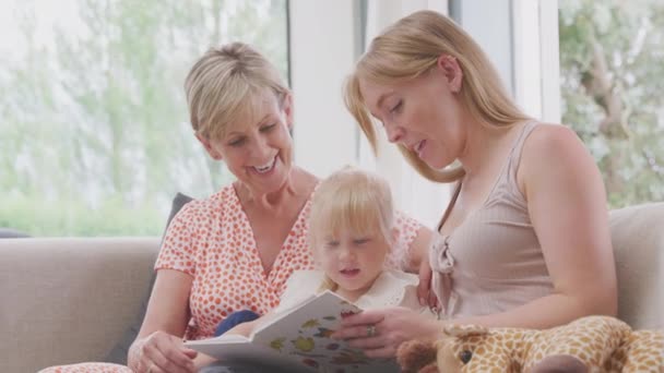 Kleindochter Met Speelgoed Giraffe Zitten Bank Met Oma Moeder Lezen — Stockvideo