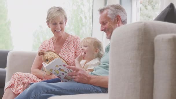 Granddaughter Toy Giraffe Sitting Sofa Grandparents Reading Story Book Together — Video
