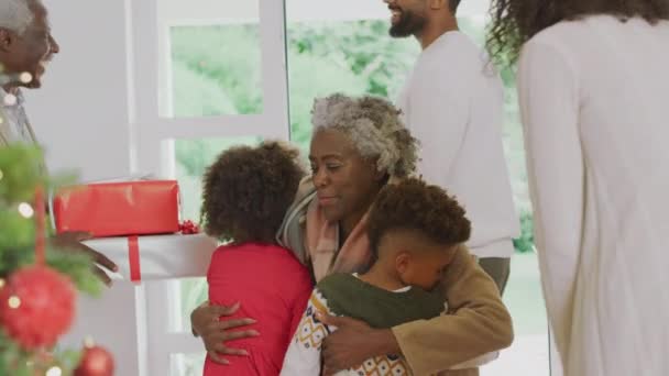 Aile Büyük Anne Büyük Babaları Kapıda Karşılıyor Eve Hediyelerle Geliyorlar — Stok video