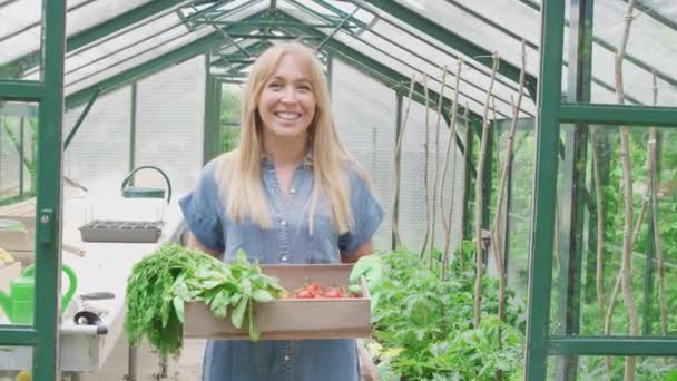 Portrait Smiling Proud Woman Holding Box Home Grown Vegetables Standing — Vídeos de Stock