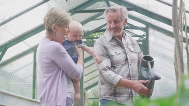 Grandparents Baby Grandson Watering Plants Greenhouse Together Shot Slow Motion — Stockvideo