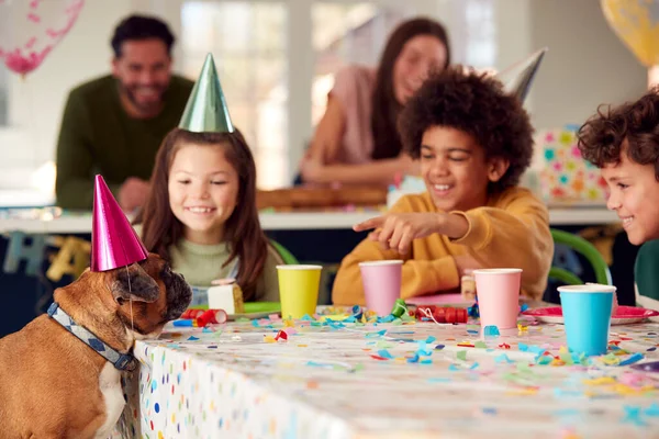 Cão Estimação Mesa Como Menina Com Pais Amigos Celebram Festa — Fotografia de Stock