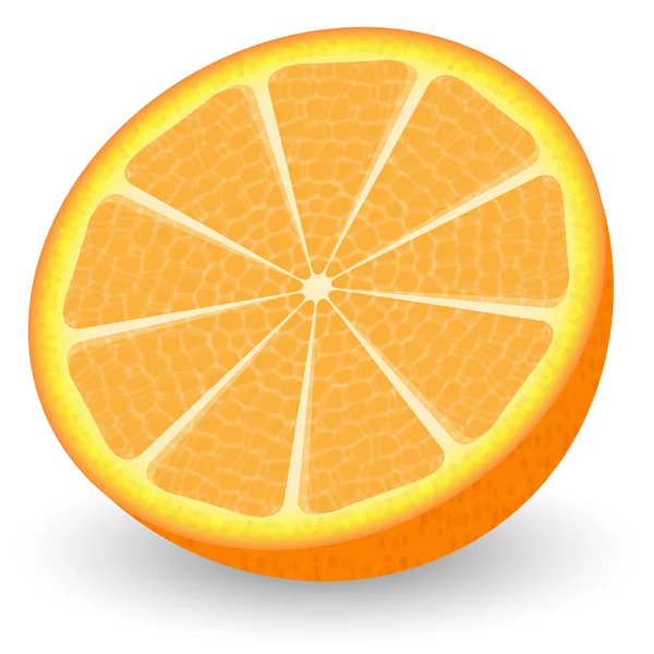 Tranche d'orange juteuse — Image vectorielle