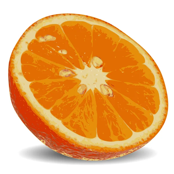 Tranche d'orange juteuse 2 — Image vectorielle