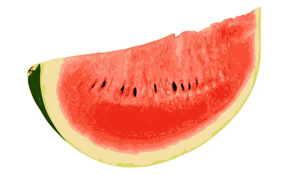 Wassermelone Nahaufnahme 3 — Stockvektor