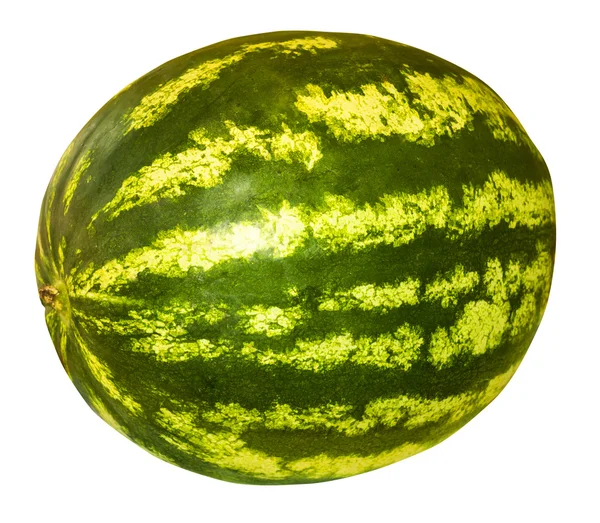 Zralé velký meloun — Stock fotografie