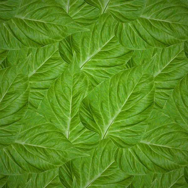 绿叶无缝花纹 — 图库矢量图片
