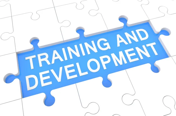 Training and Development — Stock Photo, Image