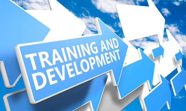 Training and Development — Stock Photo, Image