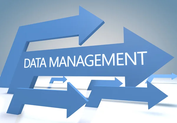 Data Management — Stock Photo, Image