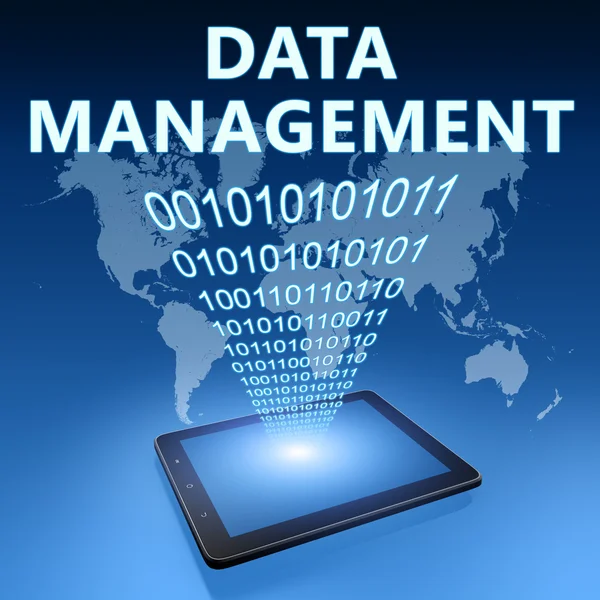 Datenmanagement — Stockfoto